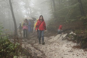 Kroz izmaglicu do cilja