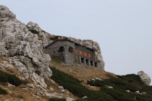 Snježnik