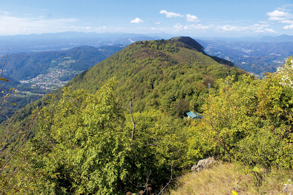 Strahinjščica